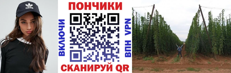 Магазин наркотиков Асбест Alpha-PVP  Меф мяу мяу  блэк спрут зеркало  ГАШ  Псилоцибиновые грибы 