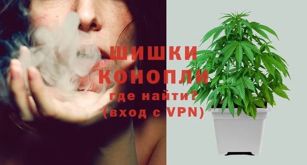 дурь Новозыбков