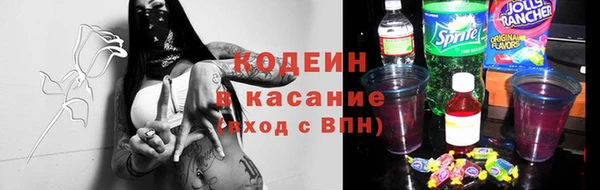 индика Арсеньев