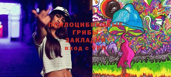 2c-b Аркадак
