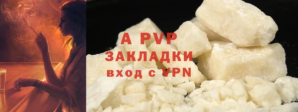 индика Арсеньев