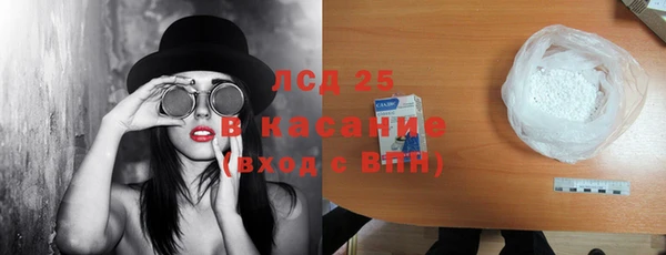 индика Арсеньев