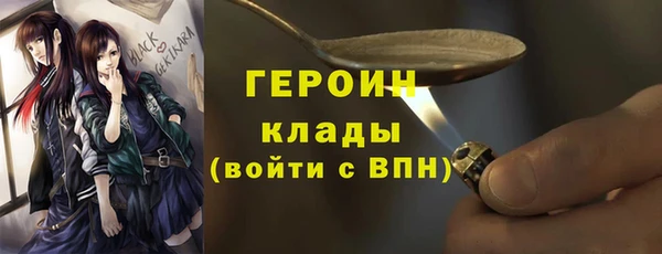 индика Арсеньев