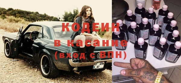 индика Арсеньев