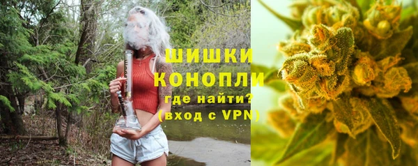 индика Арсеньев
