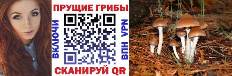 Галлюциногенные грибы прущие грибы  Асбест 